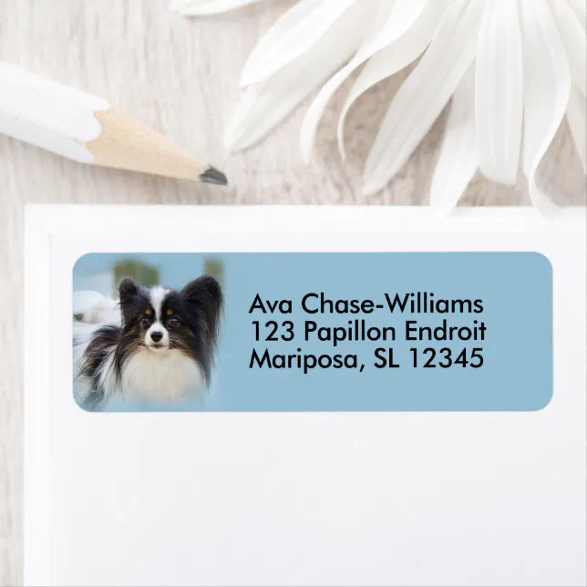 Cute Papillon Toy Spaniel Dog at the Dock Label