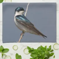 Profile of a Male Tree Swallow in the Sun Towel