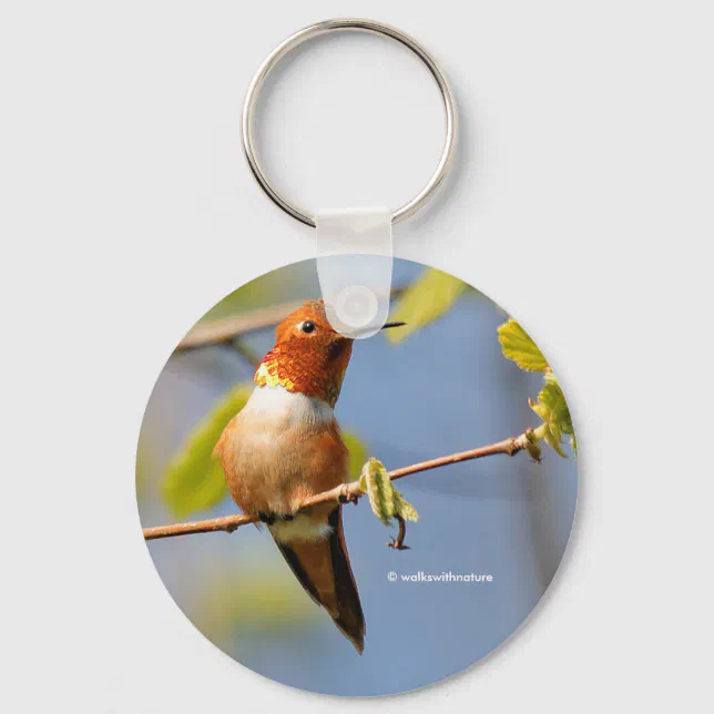 Sitting Pretty: Male Rufous Hummingbird Keychain