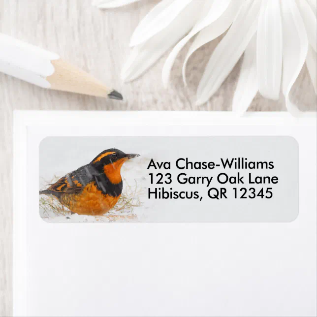 Beautiful Varied Thrush on a Snowy Winter's Day Label