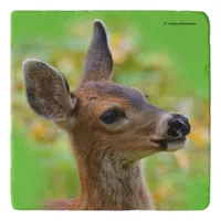 Vignetted Portrait of Smiling Blacktail Deer Fawn  Trivet