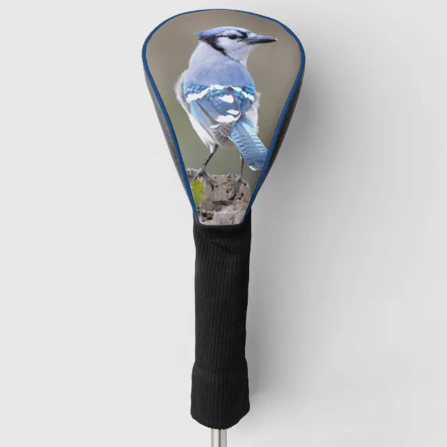 Cute Blue Jay Songbird on Treestump Golf Head Cover