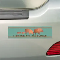 Car Magnets