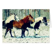 Winter Horses