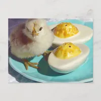 Deviled Eggs and the Chick Postcard