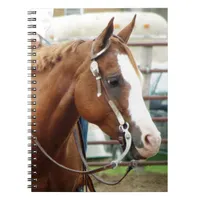 Western Horse Notebook