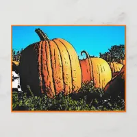 Halloween Pumpkin Patch in Daytime Postcard