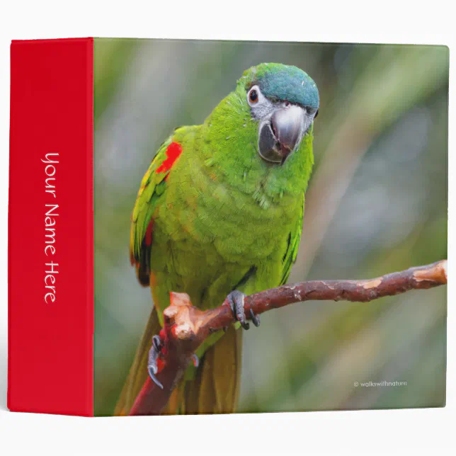 Hahn's Mini Macaw / Red-Shouldered Macaw 3 Ring Binder