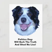 Politics Border Collie Bark The Truth Postcard