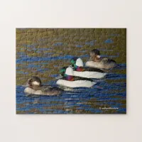 Getting My Ducks in a Row: Four Buffleheads Jigsaw Puzzle
