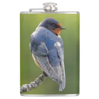 Beautiful Barn Swallow on a Branch Flask
