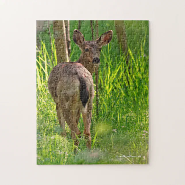 Black-Tailed Deer in the Forest Jigsaw Puzzle