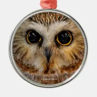 Cute Little Northern Saw Whet Owl Metal Ornament