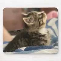 Adorable Kitten Photo, or Upload your Own Pic Mouse Pad