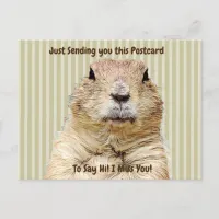 Cute Groundhog "I Miss YOU" Saying Hi Postcard
