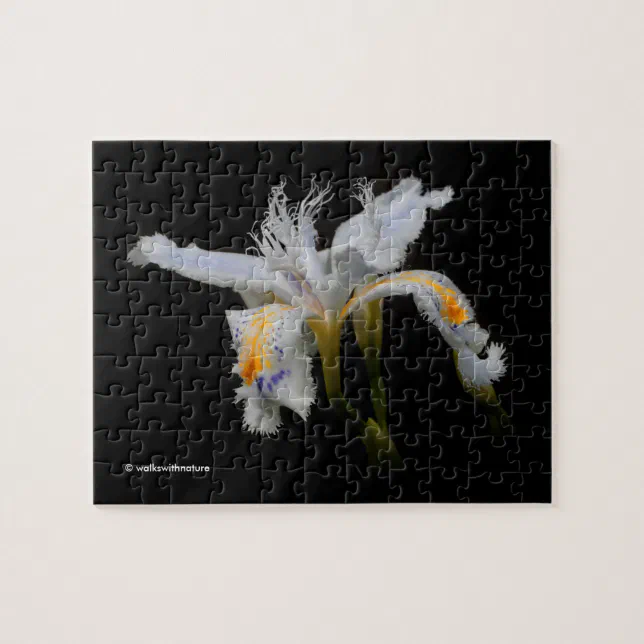 Elegant Japanese Crested Iris White Flowers Jigsaw Puzzle