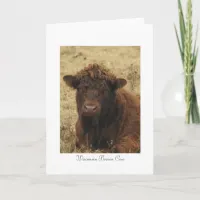 Wisconsin Brown Cow Farm Photography  Card