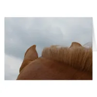 From a Horse's View, Horse Ears and Neck