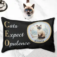 Cats Expect Opulence Black Cushion Photo Name