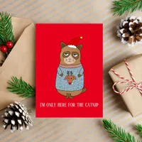 Sarcastic Funny Christmas Cat Holiday Card