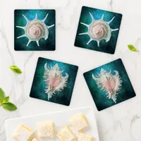 Set of Sea Shells Coaster Set