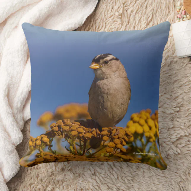 White-Crowned Sparrow Songbird Sitting on Tansy Throw Pillow