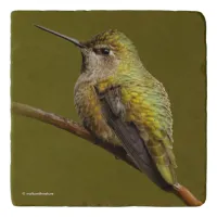 Anna's Hummingbird on Scarlet Trumpetvine Trivet