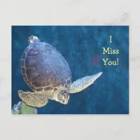 Sea Turtle Post Card (Add your own Text)