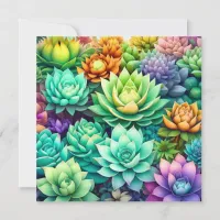 Colorful Succulents Collage