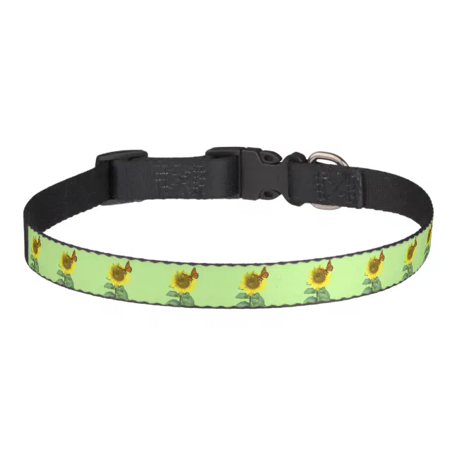 Dog Collar