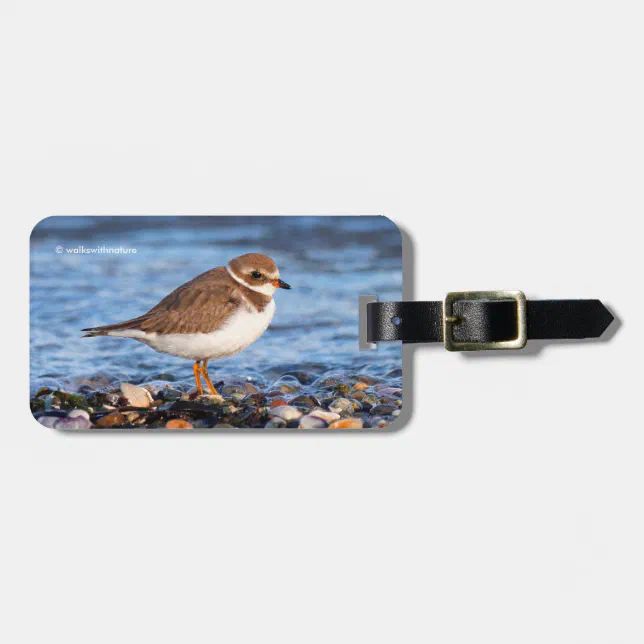 Beautiful Semipalmated Plover at the Beach Luggage Tag