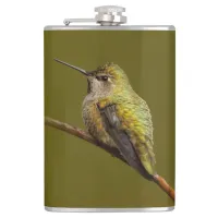 Anna's Hummingbird on Scarlet Trumpetvine Flask