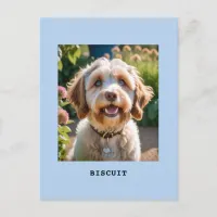 Personalized Pet Dog Cat Photo Name Light Blue Postcard