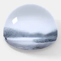 Winter wonderland, nature paperweight