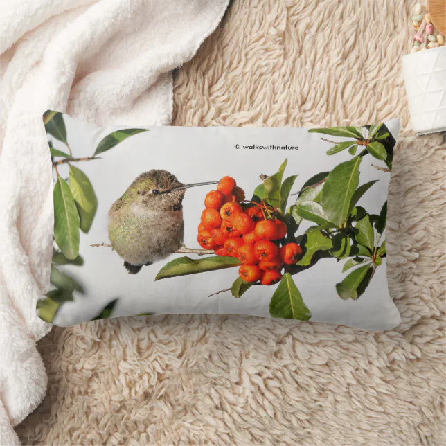 Anna's Hummingbird Poses with the Pyracantha Lumbar Pillow