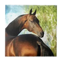 Akhal-teke stallion ceramic tile