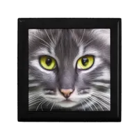 Wonderful cat in portrait  gift box