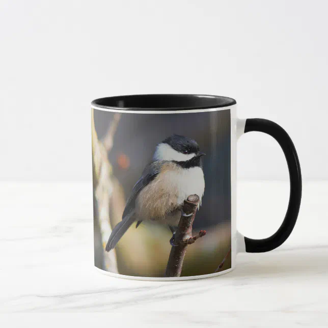 Cute Black-Capped Chickadee on Branch Mug