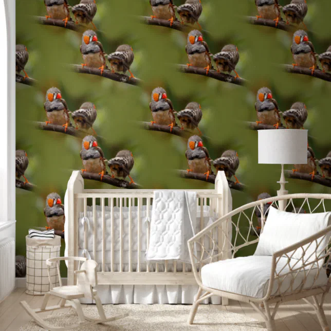 A Cheeky Pair of Zebra Finch Songbirds Wallpaper