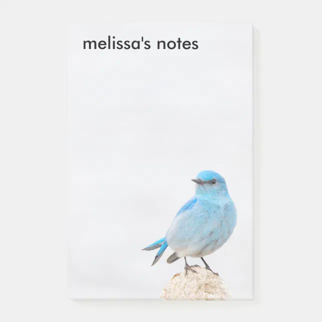 Beautiful Mountain Bluebird Post-it Notes