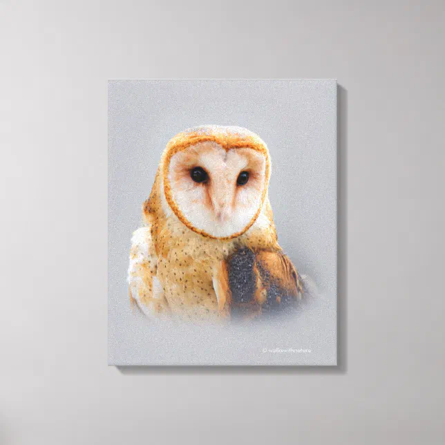 A Serene and Beautiful Barn Owl Canvas Print