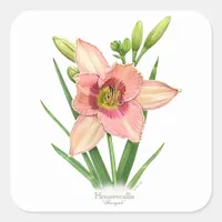 Daylily - Svengali Square Sticker