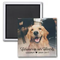 Pet Memorial Sympathy Photo Magnet