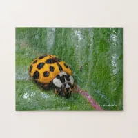18-Spotted Yellow and Black Ladybug Jigsaw Puzzle