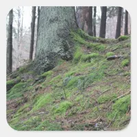 Mossy Tree Stump Square Sticker