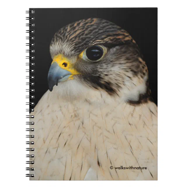 Gyrfalcon Saker Hybrid Falcon Notebook