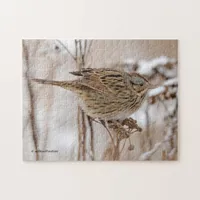 Lincoln's Sparrow on Tansy Jigsaw Puzzle