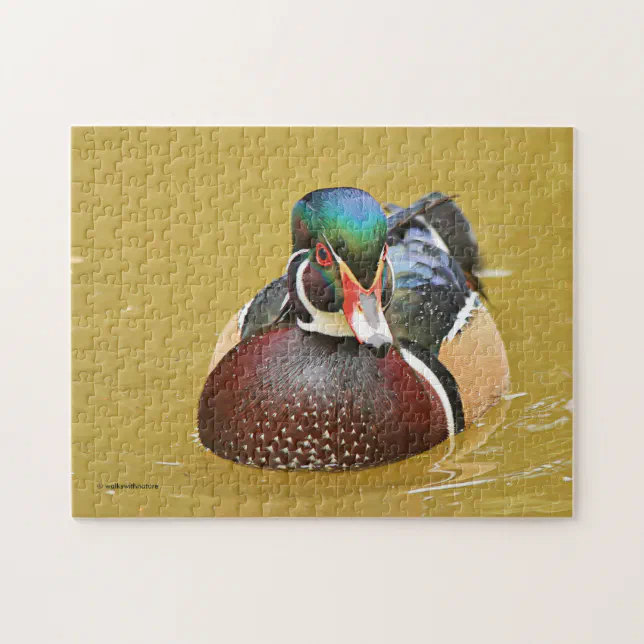 Stunning Wood Duck in the Pond Jigsaw Puzzle