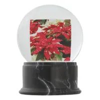 Festive Red White Floral Poinsettias Snow Globe