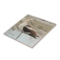 Stunning American Avocet Wading Bird at the Beach Ceramic Tile